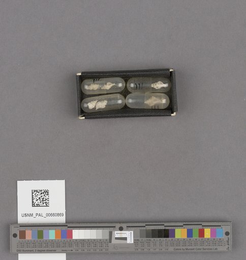 NSF ADBC EPICC TCN