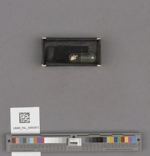 NSF ADBC EPICC TCN
