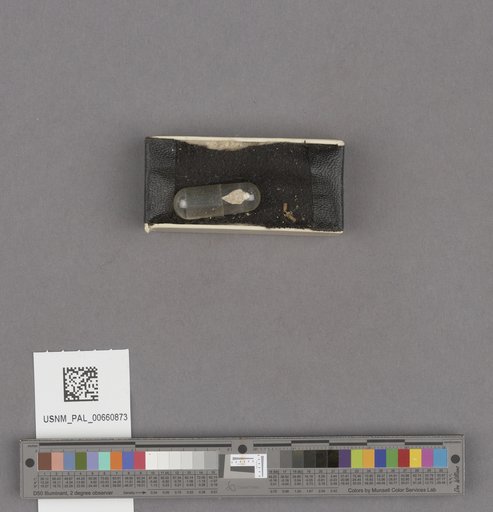 NSF ADBC EPICC TCN