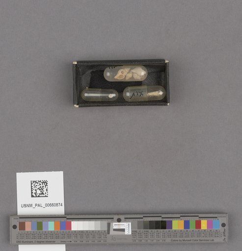 NSF ADBC EPICC TCN