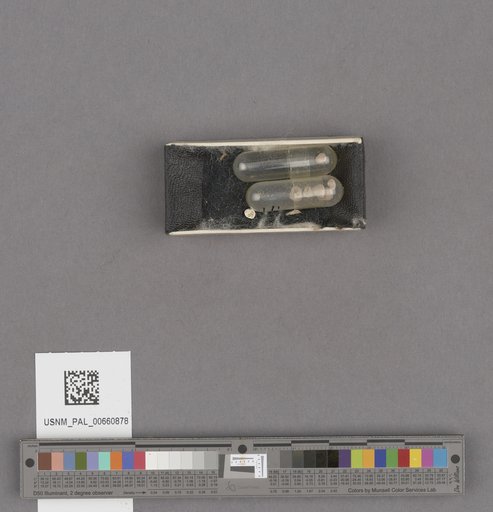 NSF ADBC EPICC TCN