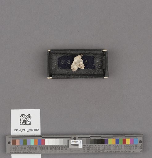 NSF ADBC EPICC TCN