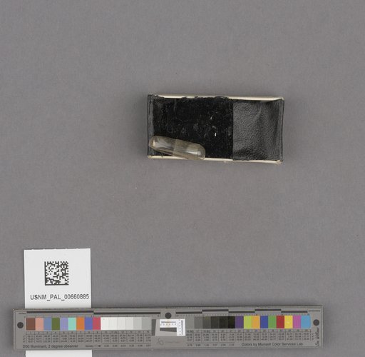 NSF ADBC EPICC TCN