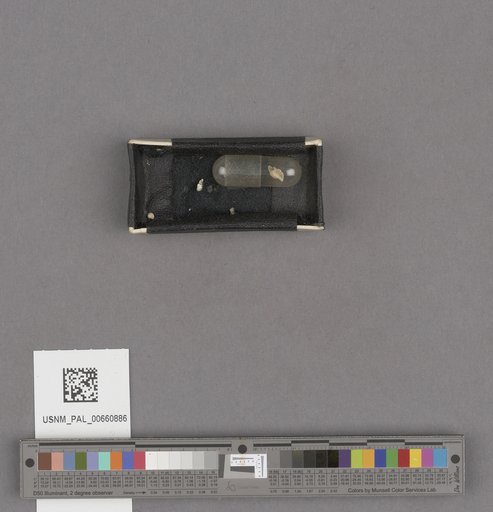 NSF ADBC EPICC TCN
