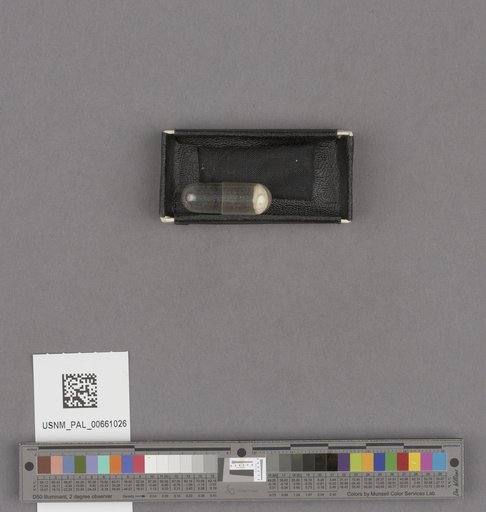 NSF ADBC EPICC TCN