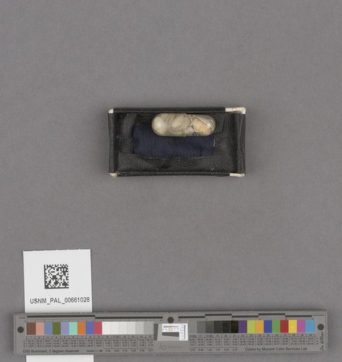 NSF ADBC EPICC TCN