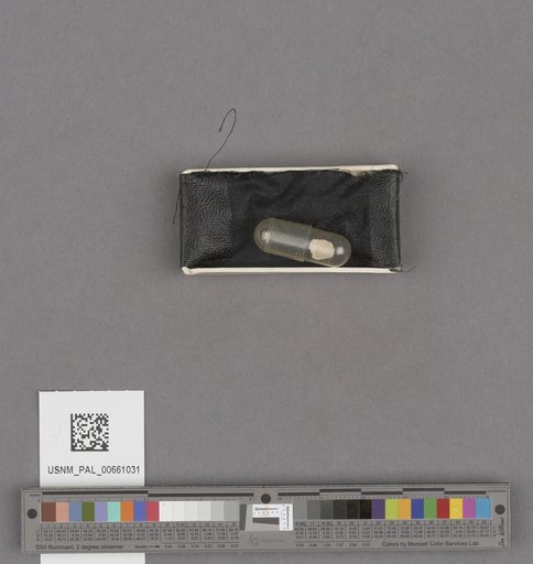 NSF ADBC EPICC TCN