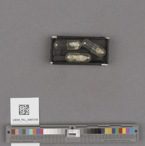NSF ADBC EPICC TCN