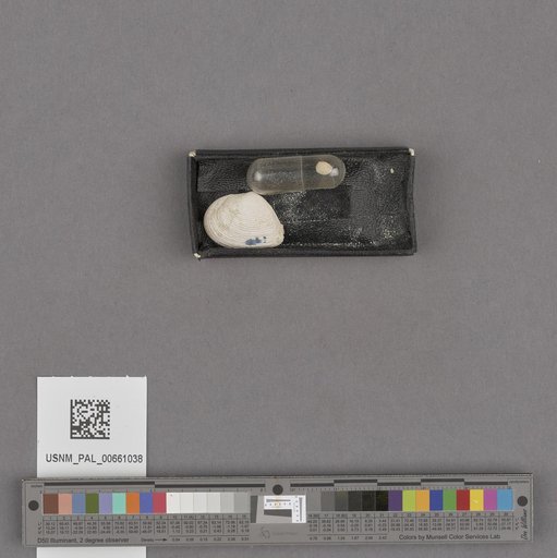 NSF ADBC EPICC TCN