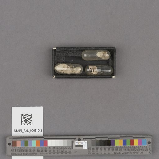 NSF ADBC EPICC TCN