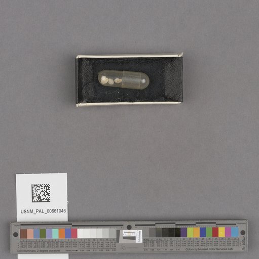 NSF ADBC EPICC TCN
