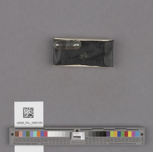 NSF ADBC EPICC TCN