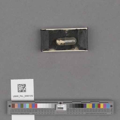NSF ADBC EPICC TCN