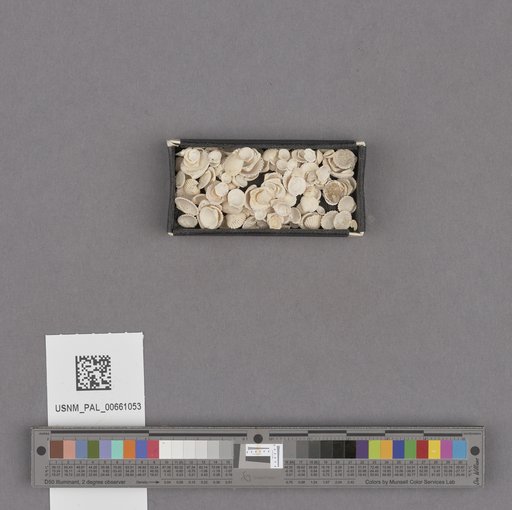 NSF ADBC EPICC TCN