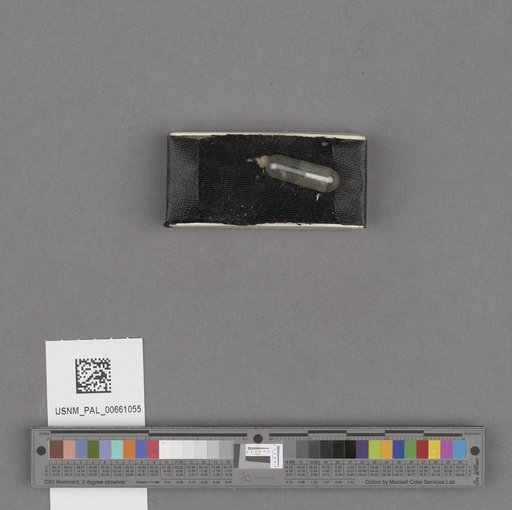 NSF ADBC EPICC TCN