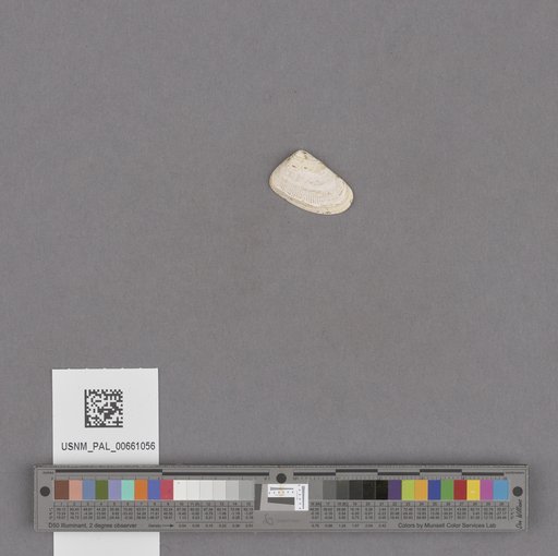 NSF ADBC EPICC TCN