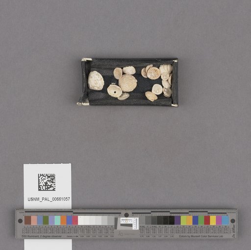 NSF ADBC EPICC TCN