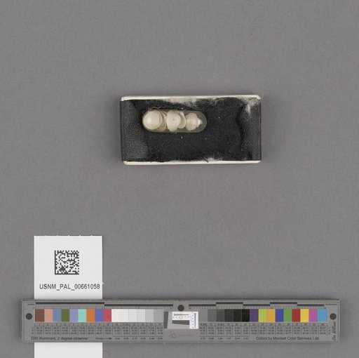 NSF ADBC EPICC TCN