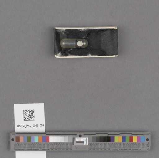 NSF ADBC EPICC TCN