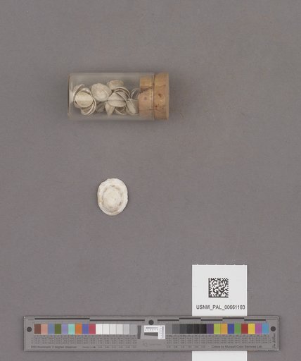 NSF ADBC EPICC TCN