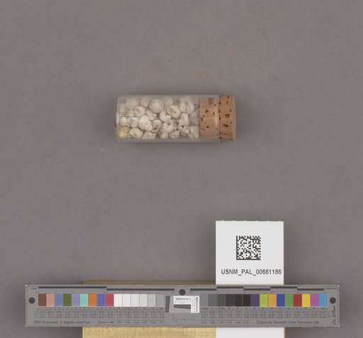 NSF ADBC EPICC TCN