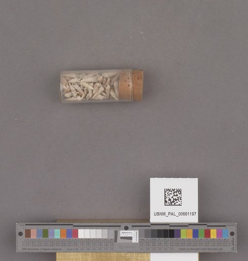NSF ADBC EPICC TCN