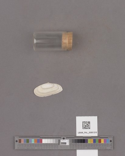 NSF ADBC EPICC TCN