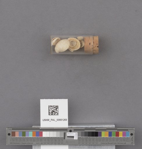 NSF ADBC EPICC TCN