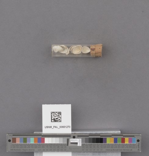 NSF ADBC EPICC TCN