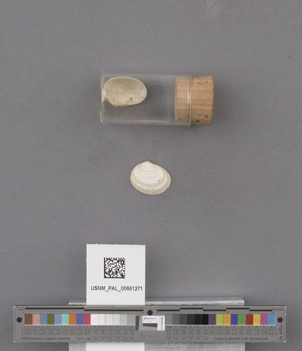 NSF ADBC EPICC TCN