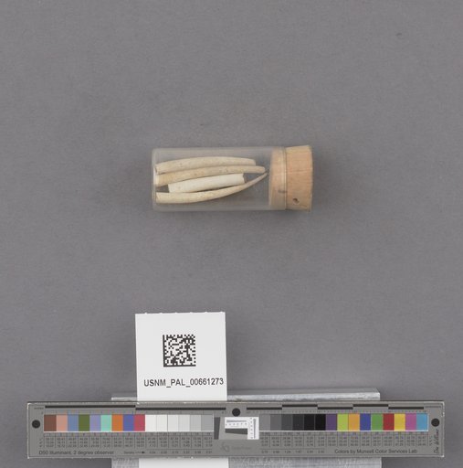 NSF ADBC EPICC TCN