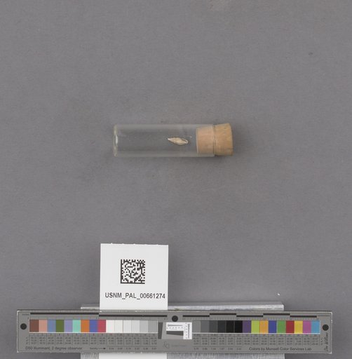 NSF ADBC EPICC TCN