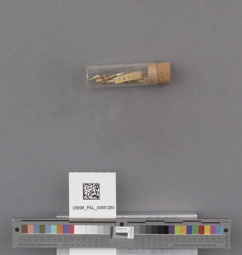 NSF ADBC EPICC TCN