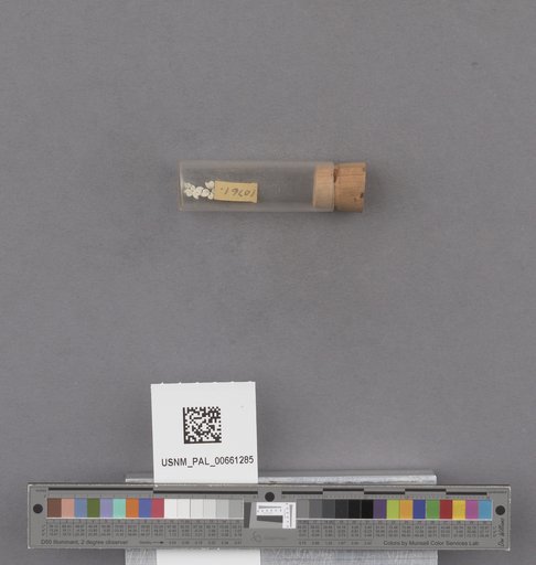 NSF ADBC EPICC TCN
