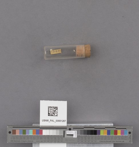 NSF ADBC EPICC TCN