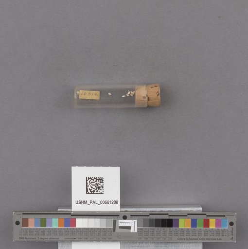 NSF ADBC EPICC TCN