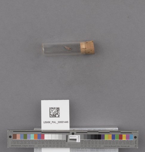 NSF ADBC EPICC TCN