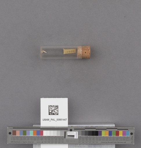 NSF ADBC EPICC TCN