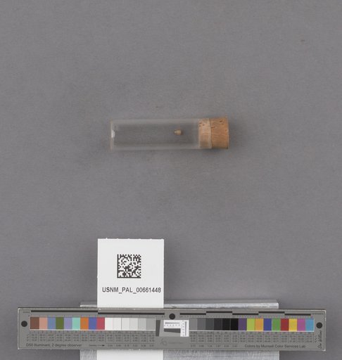 NSF ADBC EPICC TCN