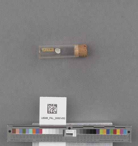 NSF ADBC EPICC TCN