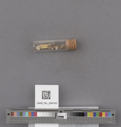NSF ADBC EPICC TCN