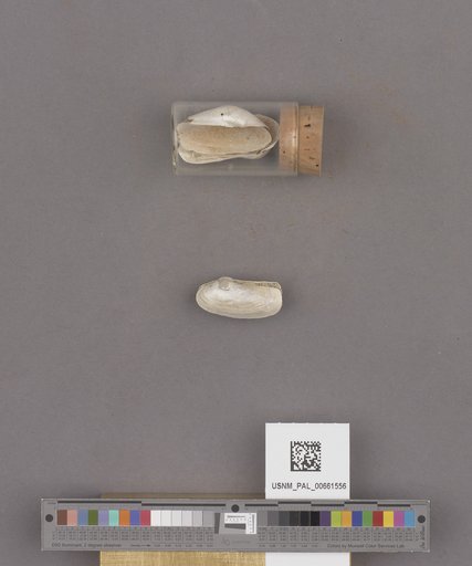 NSF ADBC EPICC TCN