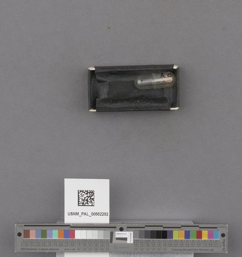 NSF ADBC EPICC TCN