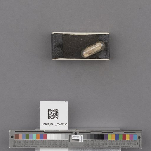 NSF ADBC EPICC TCN
