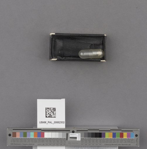 NSF ADBC EPICC TCN