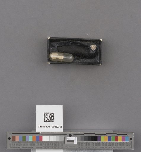 NSF ADBC EPICC TCN