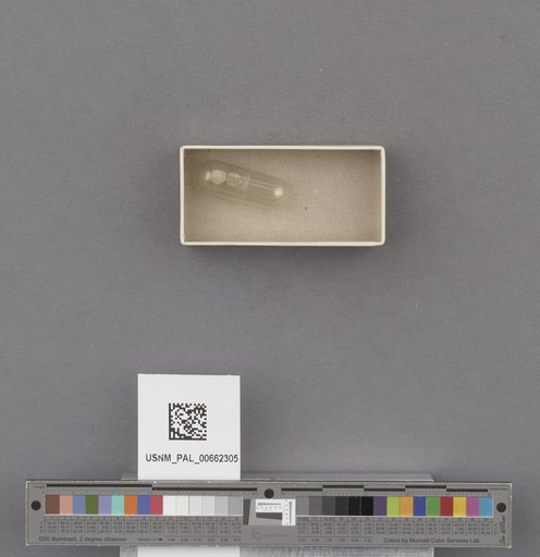 NSF ADBC EPICC TCN