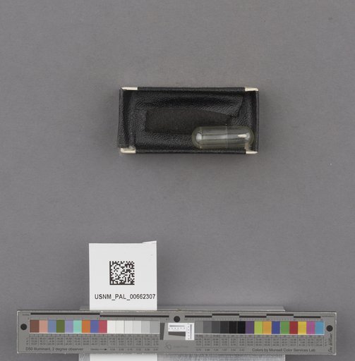 NSF ADBC EPICC TCN