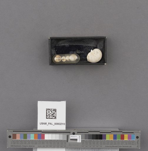 NSF ADBC EPICC TCN