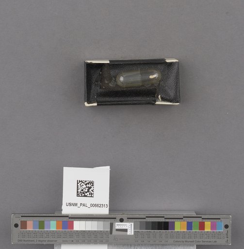 NSF ADBC EPICC TCN